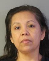 Maria Rocio Gordillo mugshot